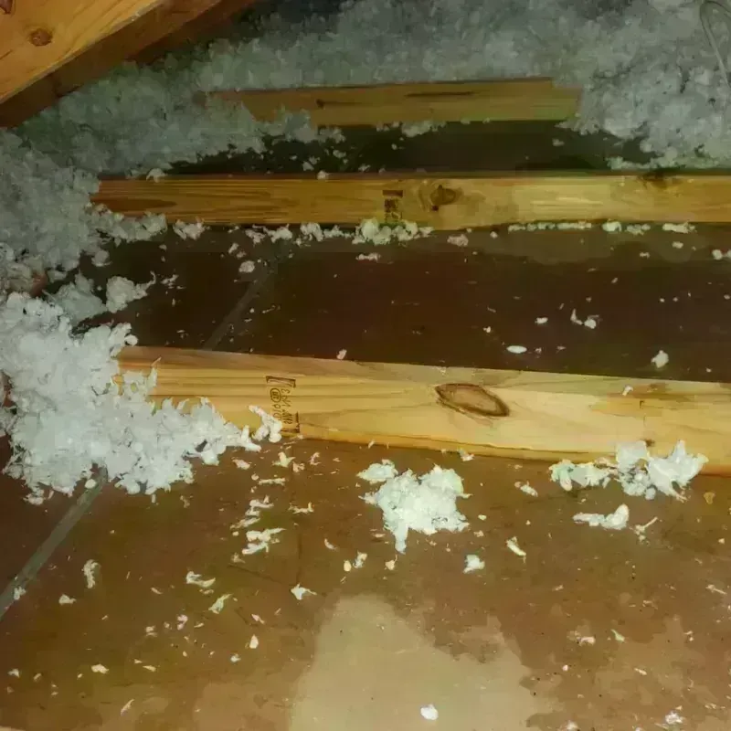 Attic Water Damage in Burns Flat, OK