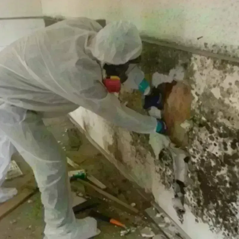 Mold Remediation and Removal in Burns Flat, OK