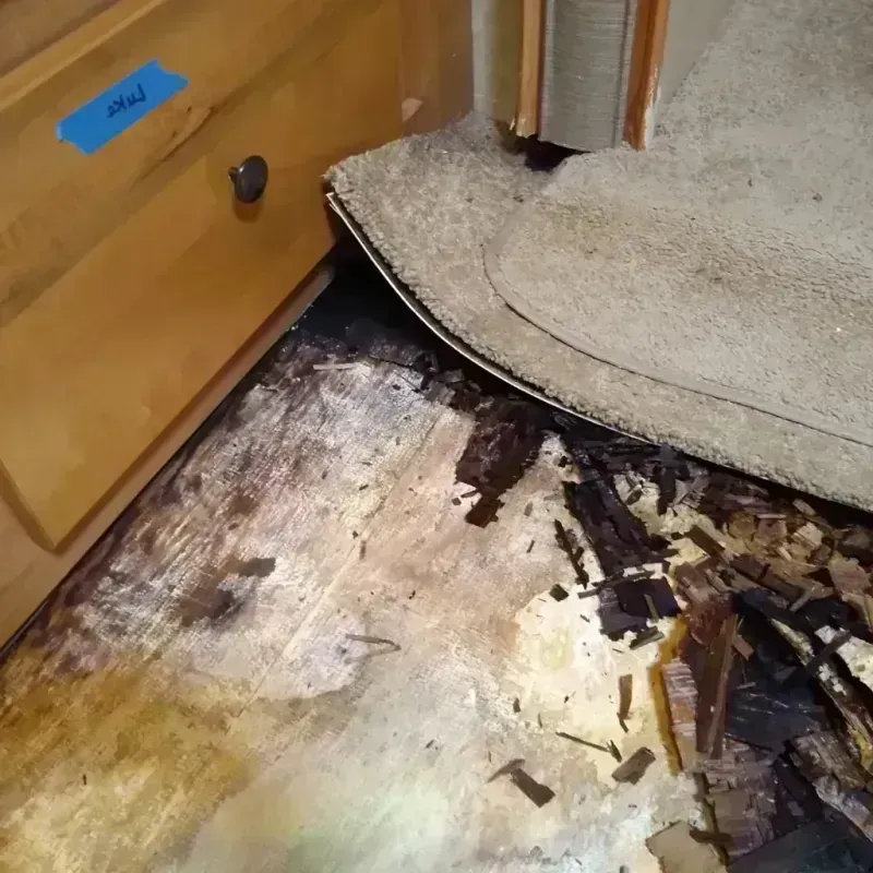 Wood Floor Water Damage in Burns Flat, OK